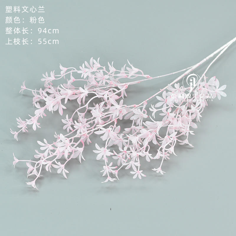 Rose de l'orchidée centrale