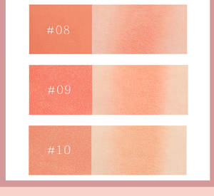 <span class=keywords><strong>Palette</strong></span> de fard à joues de maquillage pour femmes, cosmétiques, étiquette privée, vente en gros, vegan, mignon, pour dames, - Product Image 5