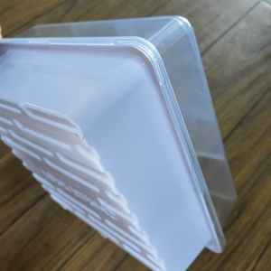 Plateau hydroponique 10*10 en plastique PP personnalisé avec <span class=keywords><strong>couvercle</strong></span> transparent et logo - Product Image 3
