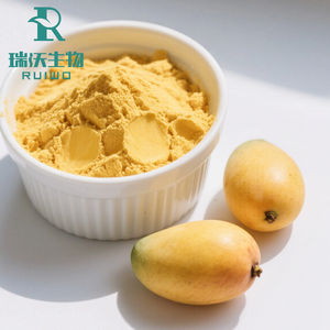 <span class=keywords><strong>Mango</strong></span> meyve suyu tozu konsantre toplu anlık bitki özü - Product Image 1