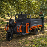 Triciclo de Carga Pesada con Motor de 1200W, Capacidad de Carga de 700 kg, para Transporte de Productos Agrícolas