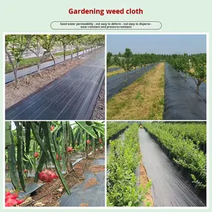 Toile de paillage noire en PP pour l'élimination des mauvaises herbes dans les vergers agricoles et <span class=keywords><strong>film</strong></span> de couverture du sol - Product Image 4