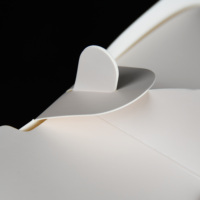 Emballage alimentaire congelé personnalisé, imprimé, imperméable, portable, de haute qualité, en matériaux recyclés, boîte en papier blanc avec doublure en éponge, fermeture magnétique
