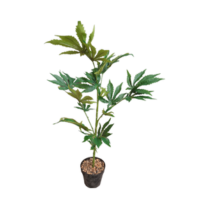 Planta de plástico artificial de 100cm de altura, marihuana sintética con hoja de tela, decoración única y llamativa - Product Image 4