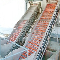 Ligne de production de sauce au piment à petite échelle 500 kg/h Machine de traitement de ketchup de pâte de tomate
