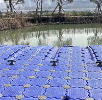 Ascenseur de flotteur de jet ski Offre Spéciale utilisé quai flottant modulaire d'approvisionnement marin coloré quai flottant de jet ski
