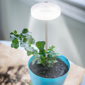 Lampes LED de croissance <span class=keywords><strong>pour</strong></span> plantes <span class=keywords><strong>d</strong></span>'<span class=keywords><strong>intérieur</strong></span> à spectre complet, réglables en hauteur, avec minuterie automatique marche/arrêt et 10 niveaux de luminosité - Product Image 4