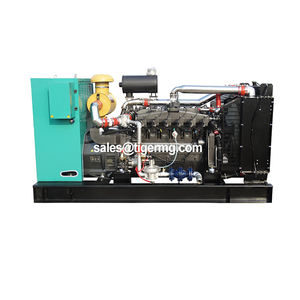 1mw 20kw 50kva 100kw 120kw 200kw 200kva 1000kw発電機バイオガスLng LPG電気ガス発電機 - Product Image 5