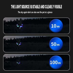 Noche brillante lujo USB recargable LED autoiluminante mascota gato perro Collar suave acolchado Nylon moderno clásico personalizado - Product Image 5