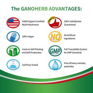 GANOHERB Suppléments à base de plantes certifiés Suplemento GMP en gros Capsule de melon amer - Product Image 4