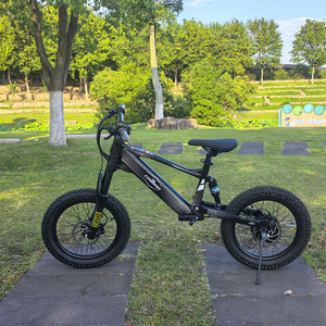 Vélo électrique LBK01 pour enfants 750W puissance 36V batterie au Lithium freins à disque hydrauliques corps en alliage - Product Image 5