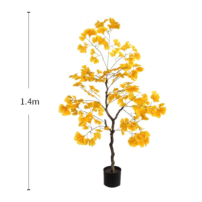 Arbre ginkgo 140 cm, tige unique.