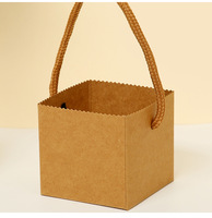 Sacs en papier carrés personnalisés pour plantes succulentes, avec poignée en corde, pour boîte cadeau, vente en gros