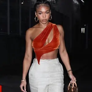 Womens Sexy Zipper Long Sleeve Crop Top Ladies Slim Fit Tee Blouse