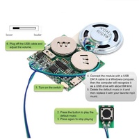 Venta caliente/programable descargable usb Módulo de sonido para tarjetas de felicitación grabable Módulo de sonido usb juguete