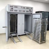 Armoire de congélation rapide à une température à économie d'énergie à haute efficacité Super basse température pour un goût frais rapide des aliments