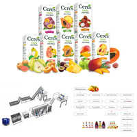 ISO 9001/CE-gecertificeerde, kosteneffectieve, zuinige, multifunctionele complete productielijn voor fruitverwerking