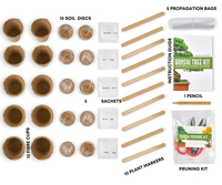 Hadiah produk berkebun unik Deluxe Kit pemula tanaman tumbuh taman dalam ruangan pohon Bonsai set hadiah untuk anak-anak