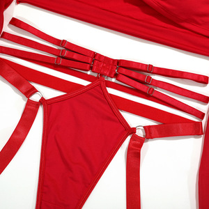 Lencería Erótica Roja de Malla Transparente con Liguero y Tanga, Top de Tubo, Disfraces Sexys - Product Image 5