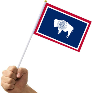 Drapeau à main personnalisé du Wyoming, l'État de l'égalité, 14x21cm, petit drapeau ondulant pour les matchs de football et de soccer - Product Image 3