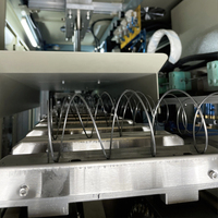 Machine de ressort de poche de matelas de LR-PS-D200 d'enroulement de production automatique à grande vitesse CNC