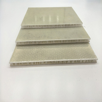Panneau sandwich FRP GRP PP plaque composite en nid d'abeille Construction de mur intérieur extérieur polymère renforcé de fibre de verre étanche