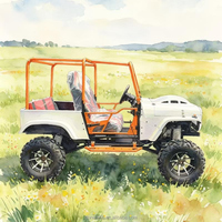 Jeep populaire 300cc 350cc 4x4 4WD à essence pour adultes, mini-jeep à essence 250cc 200cc, jeep électrique automatique à batterie, club de karting