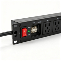 Rack-PDU mit 12 Steckdosen, 32A 220V, Überspannungsgeschützte Stromverteilungseinheit, Mehrfachsteckdose 1U Rackmount-Steckdosenleiste mit Schalter für Innenbereich