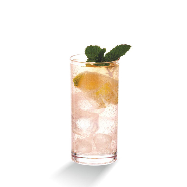 Skinny Tubo Glass Acrylic Polycarbonate Tritan Tom Collin Glass 275ml Hard Plastic Highball Glass