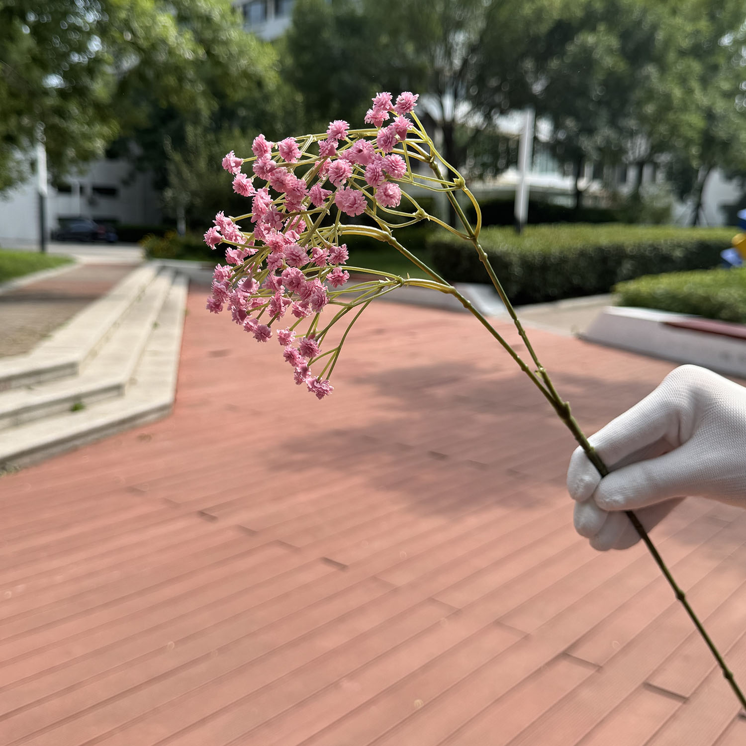 Rose foncé