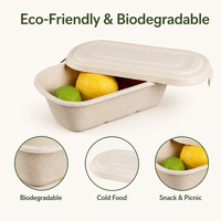 Emballage alimentaire jetable portable 24oz 32oz 1000ml 10" Boîte rectangulaire en papier biodégradable en canne à sucre Contenant pour nouilles et pique-nique