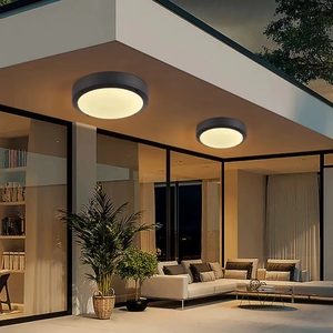 Lampada da Esterno a Soffitto o Parete con 3 Temperature di Colore Regolabili, <span class=keywords><strong>in</strong></span> <span class=keywords><strong>Alluminio</strong></span> Pressofuso, per Montaggio a Soffitto o a Parete - Product Image 3