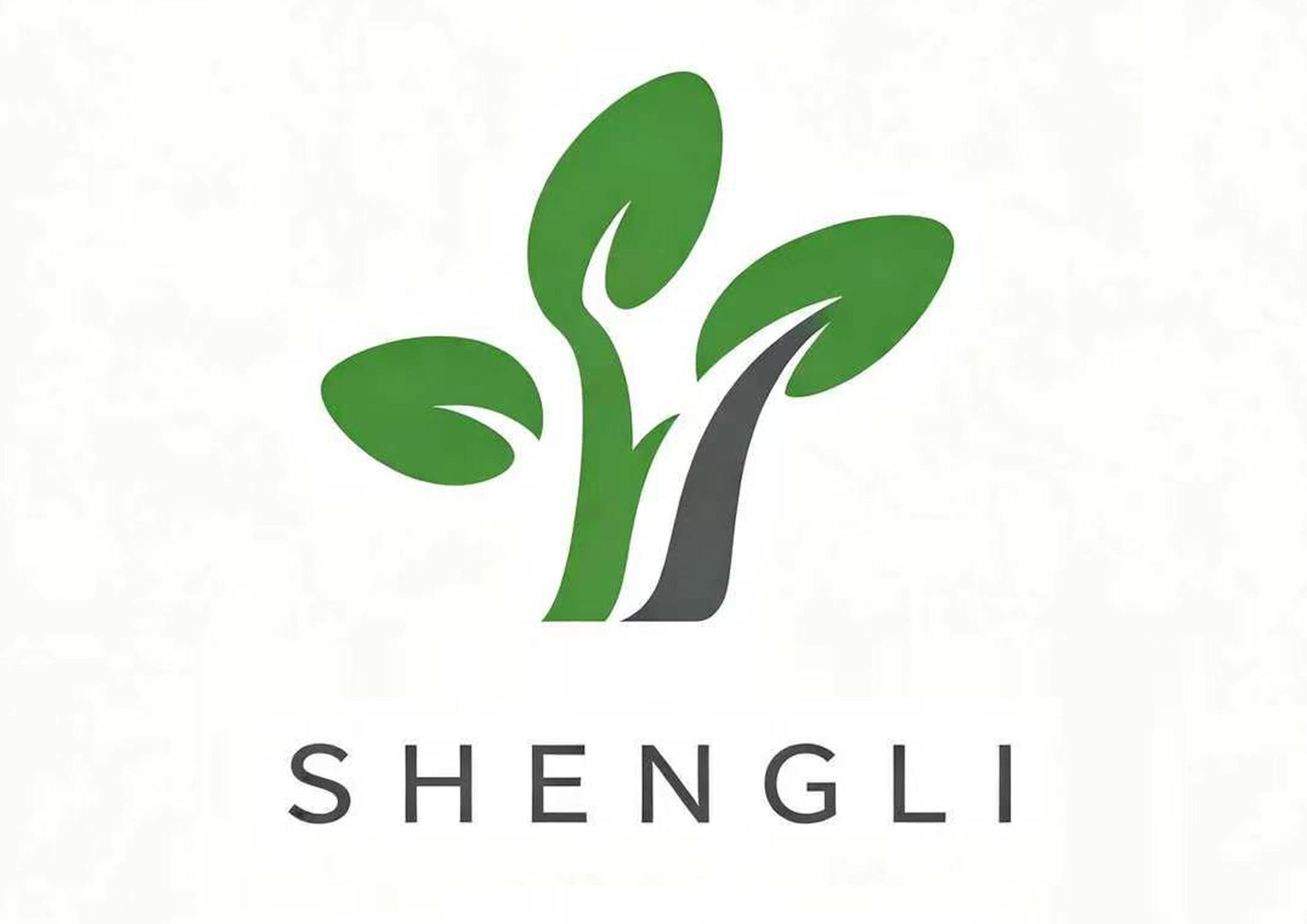 Jiangsu Shengli Crafts Co., Ltd. logo
