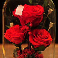 Luxuriöses Handgefertigtes Valentinstag-Geschenk Unsterbliche Blume Glasglocke LED-Licht Holzsockel Konservierte Rosen Bouquet Muttertag