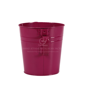 Groothandel Producten 8 Inch Metalen Gieter Plantenbak Met Handvat Voor Binnen/Buiten Plant Decor Voor Tuin Patio Gebruik - Product Image 5