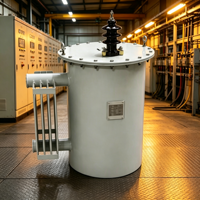 Transformateur TAISHUN 10 kVA monophasé immergé dans l'huile, à bobine toroïdale, haute efficacité 0,98, type colonne, pour installation en hauteur