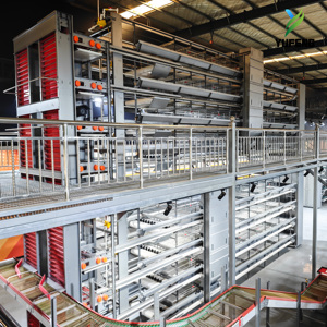 Cage à poulets H-type entièrement automatisée pour l'élevage de poules pondeuses, cages en batterie automatiques pour l'œuvroge, <span class=keywords><strong>poulailler</strong></span> - Product Image 6