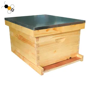 Equipo de apicultura Caja de colmena profunda de 1 capa Langstroth 10 Marco Colmena para abejas