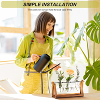 Jardinière en verre à 3 ampoules pour décoration intérieure avec support en bois-Vase hydroponique rotatif pour plantes aériennes, jardin de bureau rétro pour la maison/le bureau