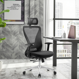 Chaise de bureau ergonomique en maille réglable en hauteur avec support lombaire 2D, chaises de bureau exécutives en maille, mobilier de bureau en gros - Product Image 1