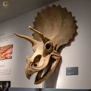 SGSR31 centre commercial exposition Triceratops crâne fossile dinosaure modèle squelette à vendre