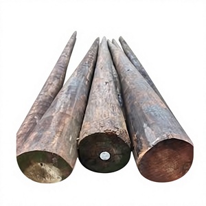 Factory Made Carbon Steel LED Street <b>Light</b> <b>Pole</b> 20m 25m 30m 35m 40m Hot Dip Galvanized High Mast <b>Light</b> 200km/h Wind Resistant - Product Image 1