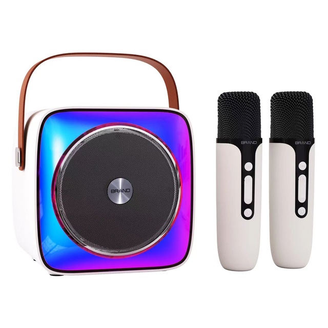 Mini Blue Tooth Plastic Portable Oem Portable Speaker Cool Light Mode Karaoke Machine with Two Microphones