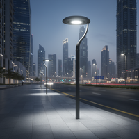 Lampadaire LED extérieur, éclairage public pour projets d'éclairage de voirie, luminaire routier pour le marché marocain