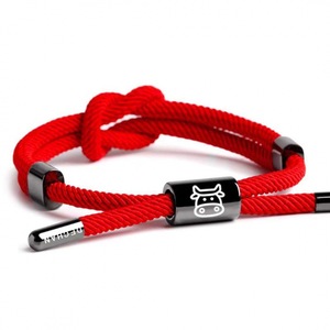 Accesorios de pareja de familia de estudiantes, pulsera trenzada de cuerda roja Simple, pulsera significativa de 12 zodiacos, regalos para mujeres - Product Image 6