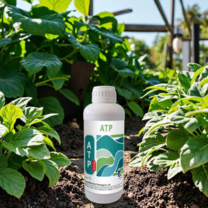 Fertilizante <span class=keywords><strong>Foliar</strong></span> de Aminoácidos Orgánicos Solubles en Agua, Completamente Funcional, Regulador Biológico para Vegetales y Árboles Frutales - Product Image 4