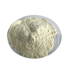 Huhn Sternum Knorpel nicht denaturiertes Kollagen Typ II - Product Image 3