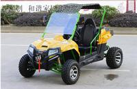 2025 Produits Chauds 300cc Utv Joyner Buggies