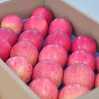 Pommes rouges fraîches Fuji et Gala, pommes sucrées et croustillantes, fournisseur en gros de Chine pour l'exportation