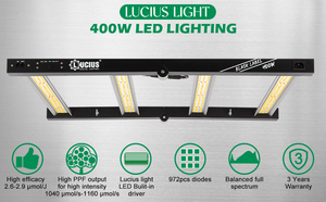 Lámpara de Cultivo LED de Espectro Completo 301h/301b de 400W, Regulable, para Invernadero, Cultivo Hidropónico e Horticultura Interior - Product Image 6
